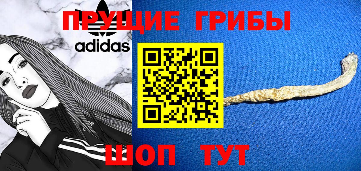 Галлюциногенные грибы ЛСД Чайковский
