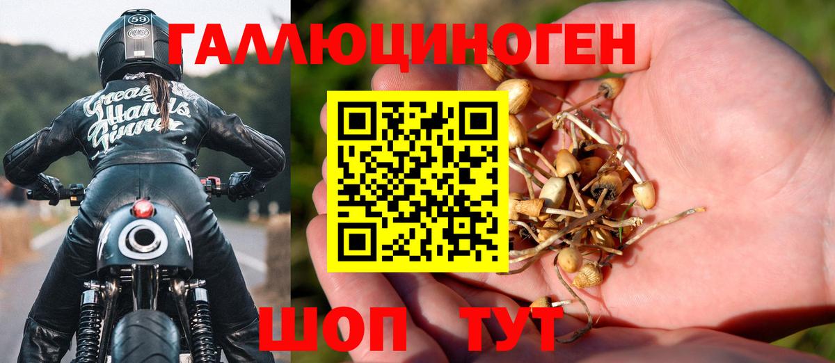 Галлюциногенные грибы GOLDEN TEACHER  Вход с VPN  Чайковский  Галлюциногенные грибы Magic Shrooms 